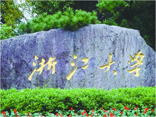 《建設(shè)高效衛(wèi)生服務(wù)團(tuán)隊》—蔣小華